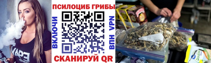 Псилоцибиновые грибы Psilocybe  Купить закладки  Всеволожск 